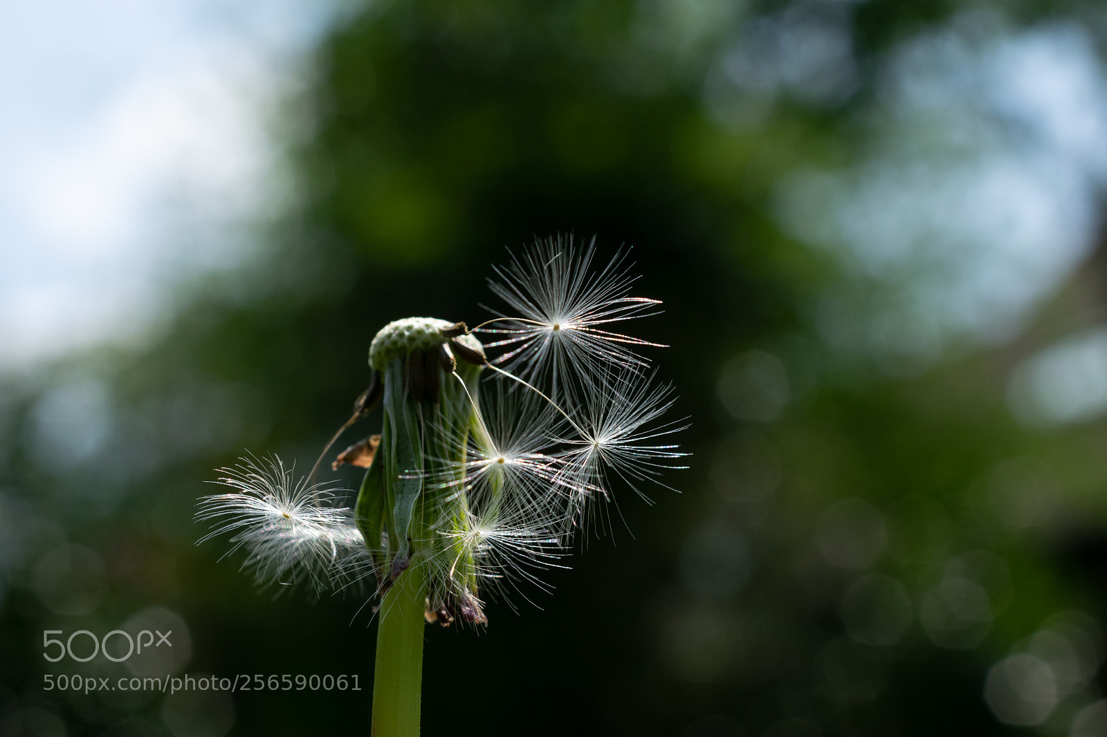 Nikon D5300 sample photo. Unbenannt photography