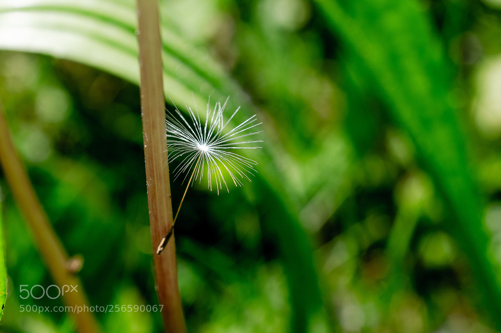 Nikon D5300 sample photo. Unbenannt photography