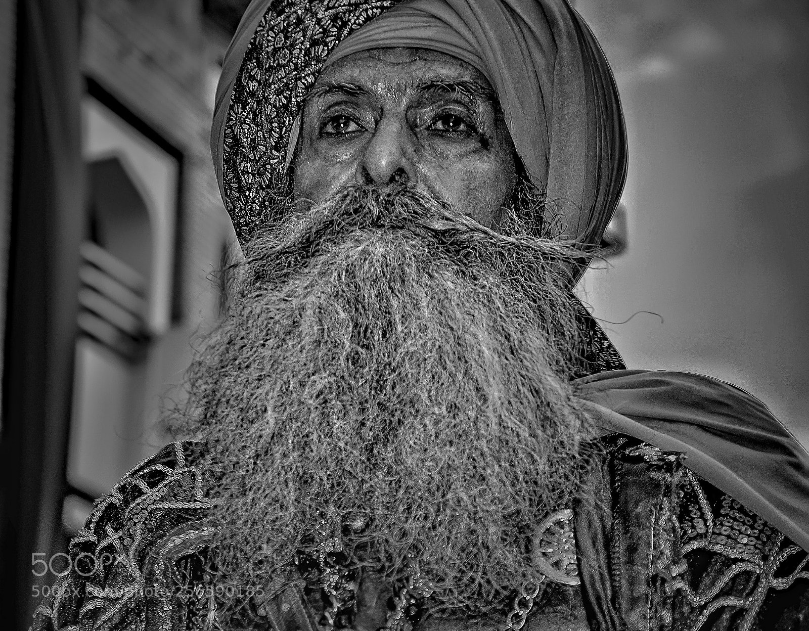 Nikon D90 sample photo. Untitled photography