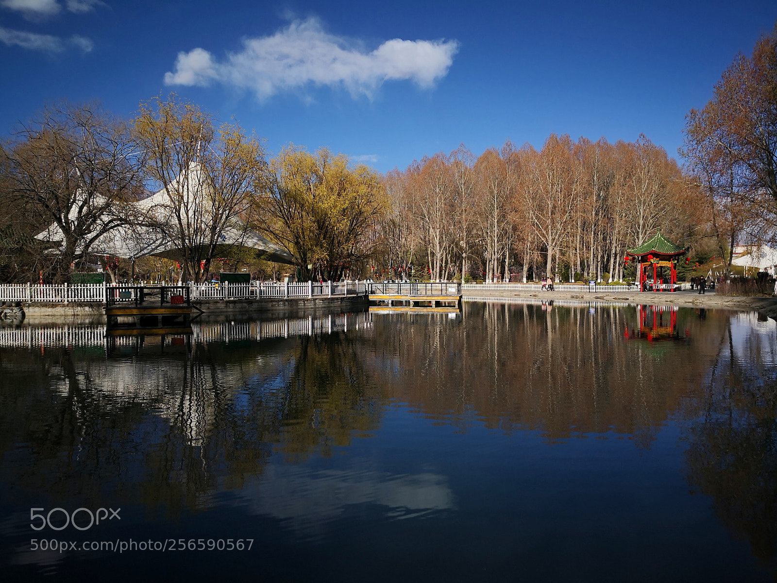 HUAWEI Mate 10 sample photo. Lake photography