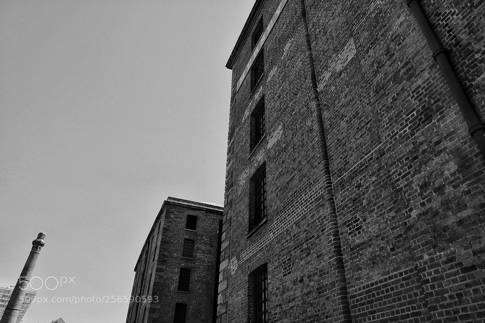 Fujifilm X-T10 sample photo. Untitled photography