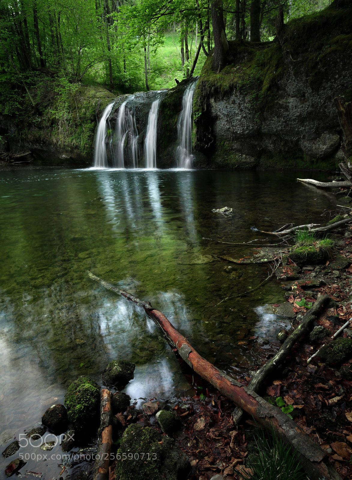 Sony a7R sample photo. Hidden treasure photography