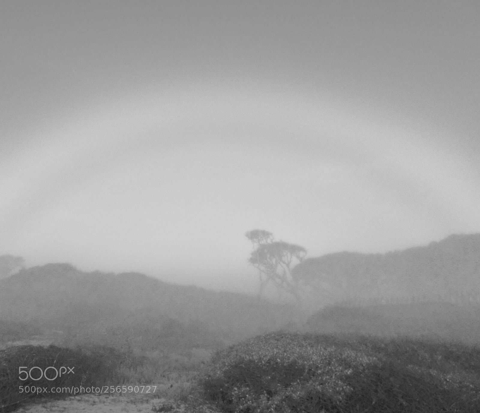 Sony Cyber-shot DSC-HX90V sample photo. Foggy rainbow photography