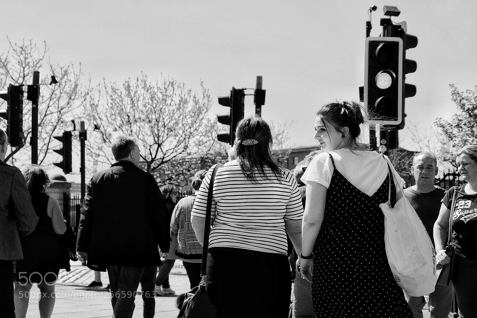 Fujifilm X-T10 sample photo. Untitled photography