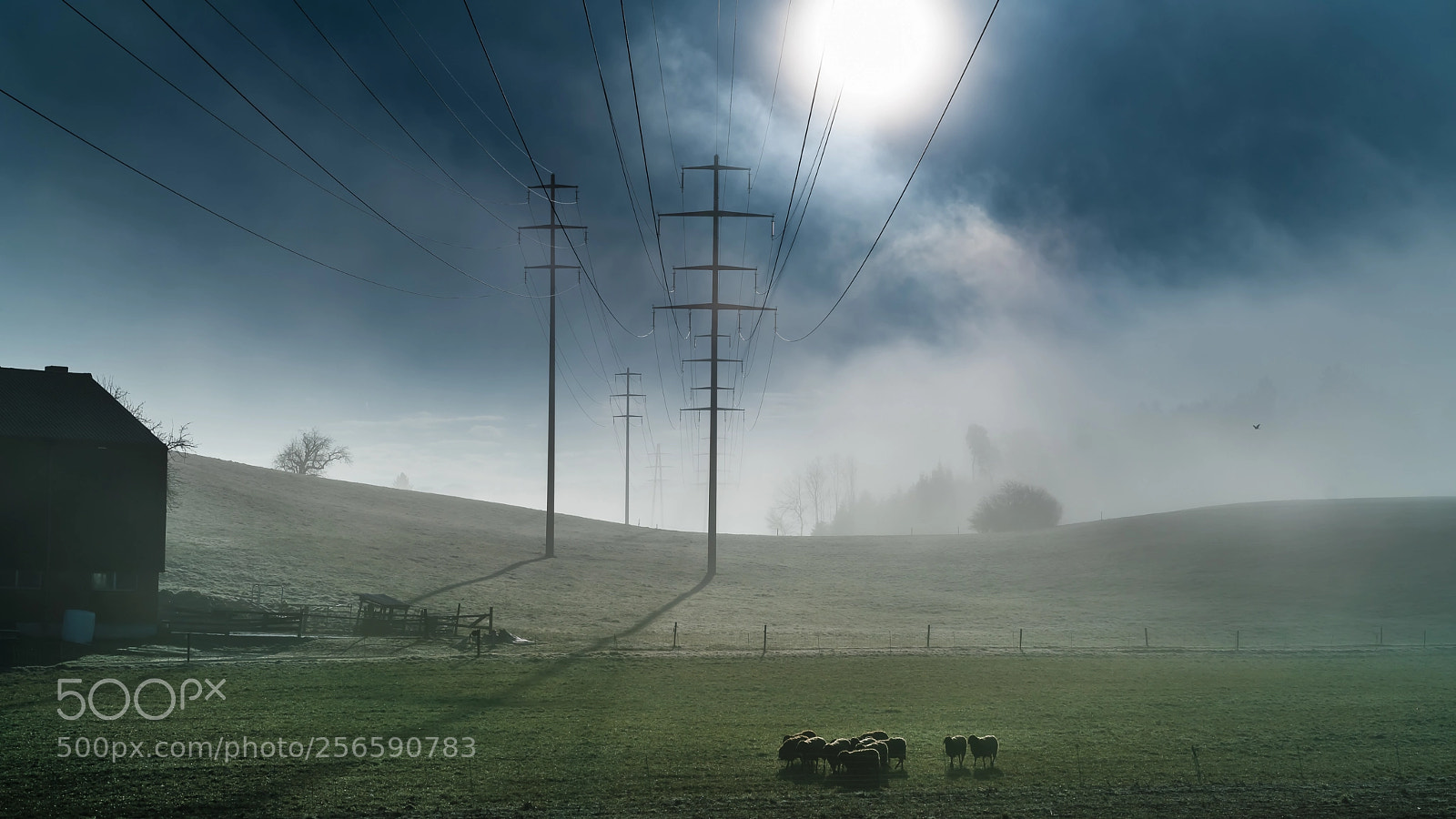 Sony a7R II sample photo. High voltage photography