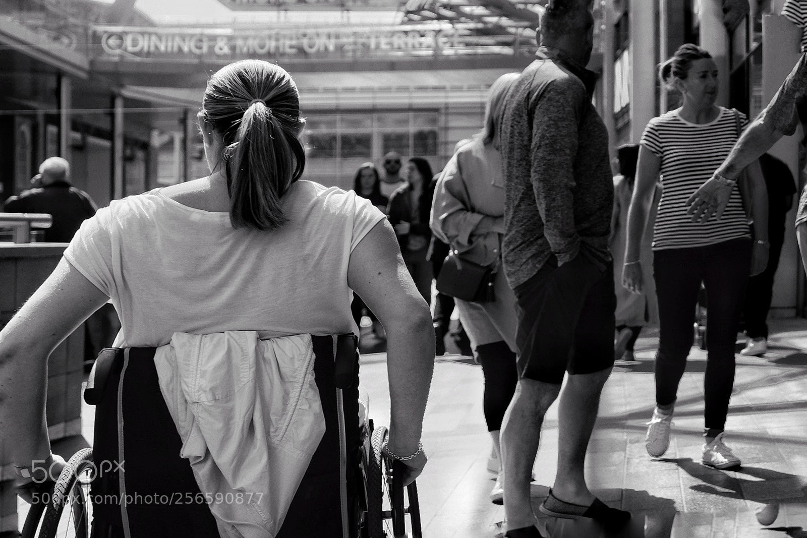 Fujifilm X-T10 sample photo. Untitled photography