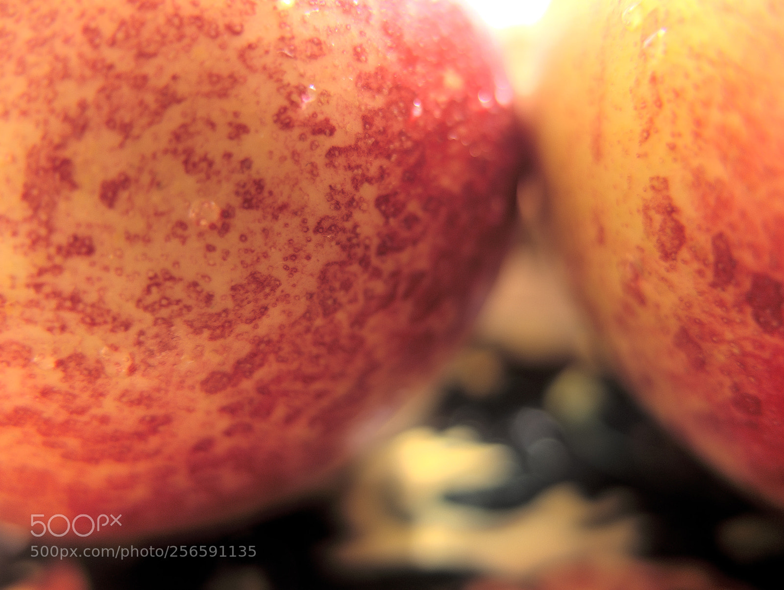 Fujifilm X10 sample photo. Nectarine 油桃 photography