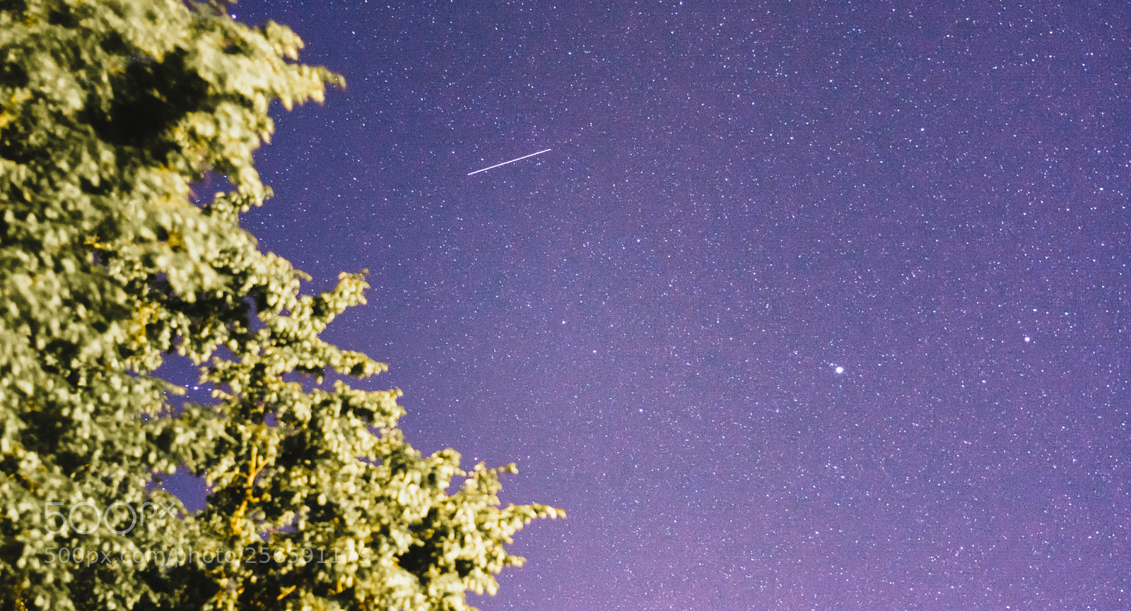 Nikon D5200 sample photo. Starry photography