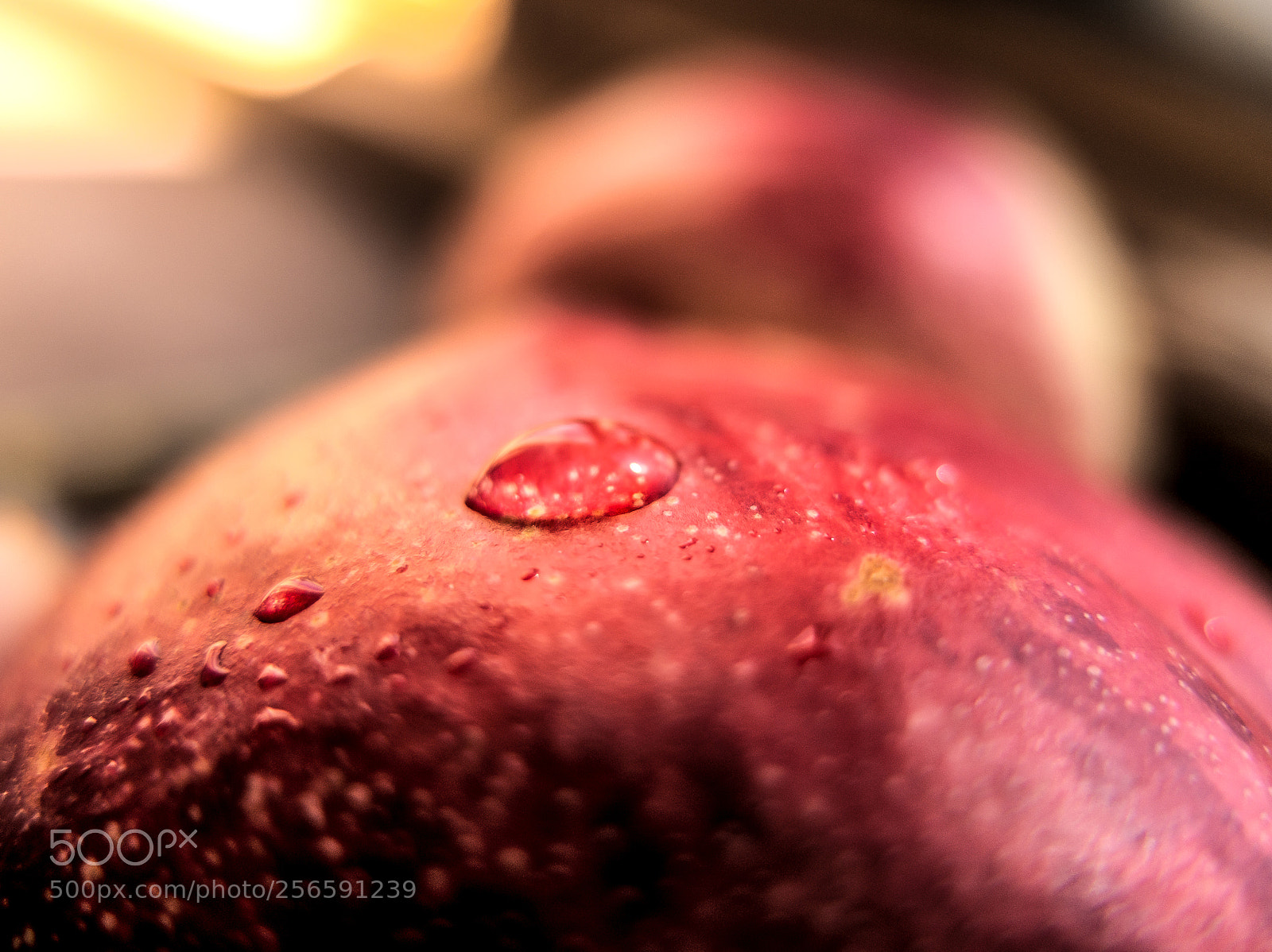Fujifilm X10 sample photo. Nectarine.油桃 photography