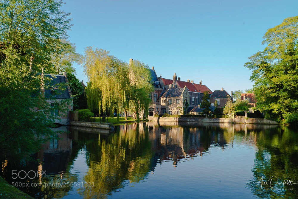 Leica M (Typ 240) sample photo. Spring love lake view photography