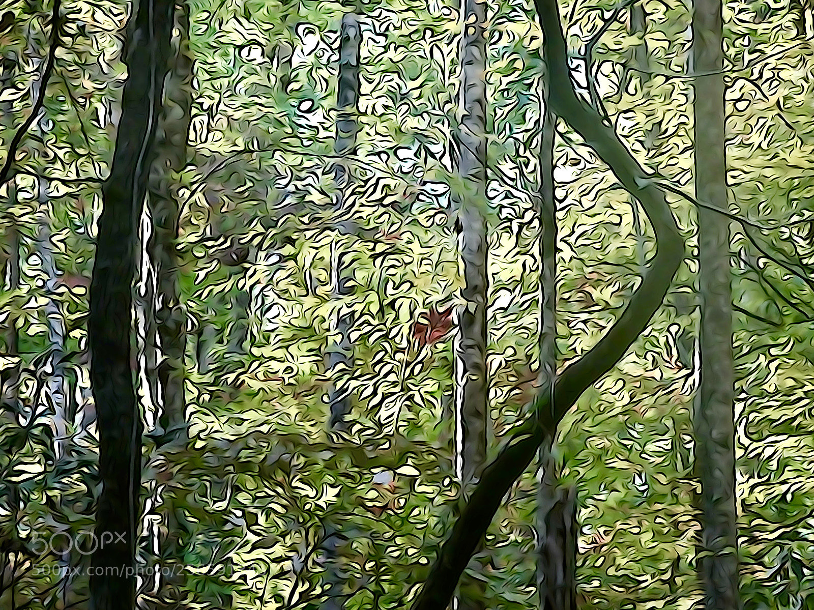 Sony Cyber-shot DSC-HX90V sample photo. Light in the forest photography