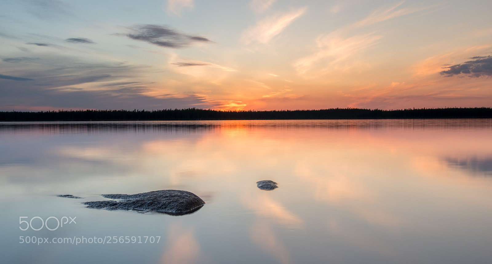 Nikon D610 sample photo. Pastel tones photography
