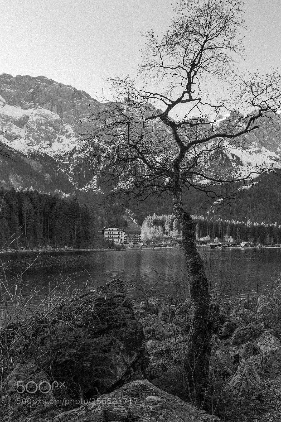 Canon EOS 7D Mark II sample photo. Eibsee ii photography