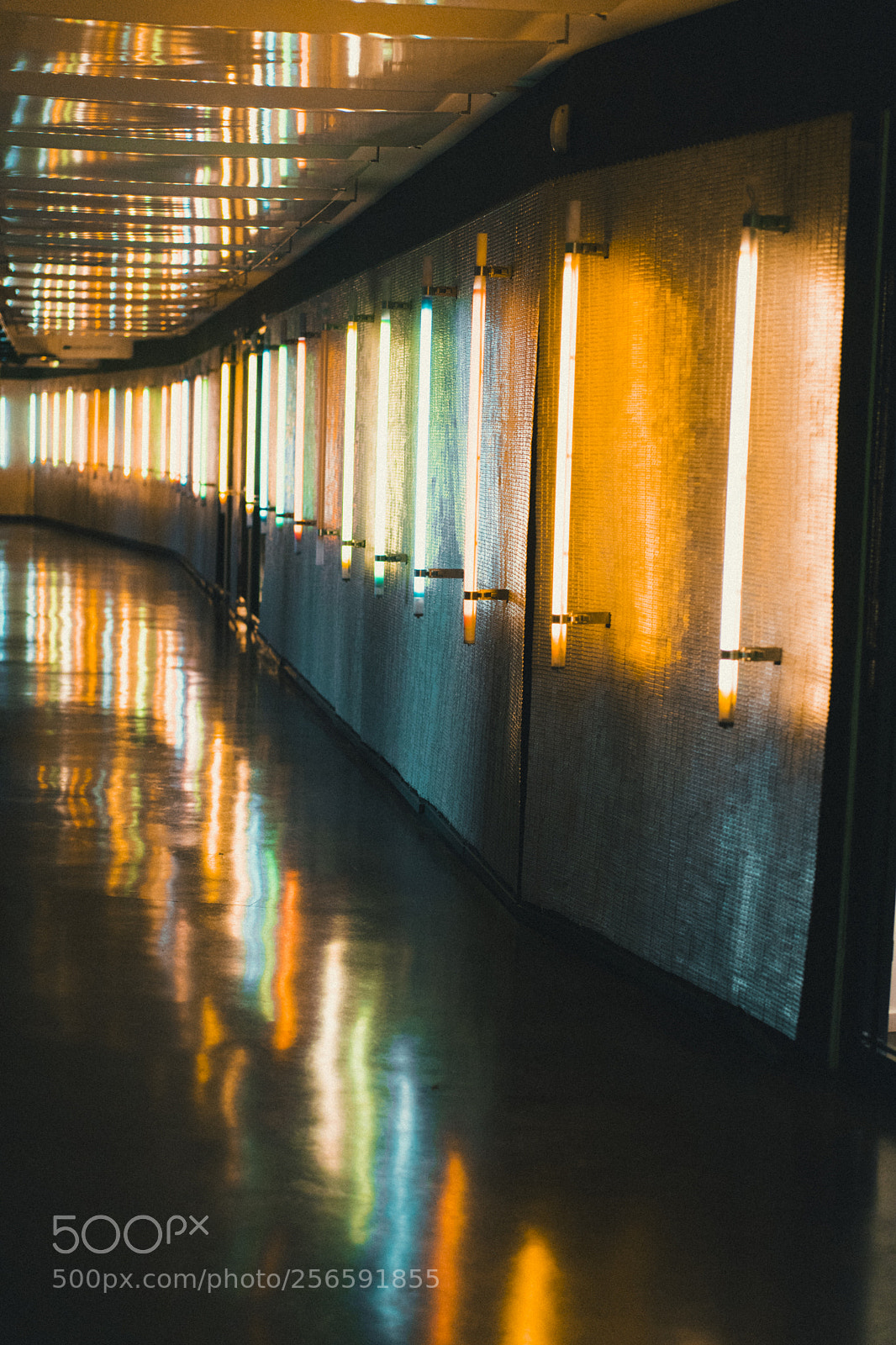 Sony a7 sample photo. Dsc photography
