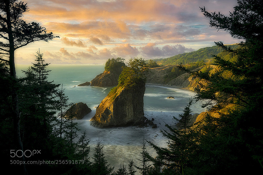 Sony a7R II sample photo. Arch rock and sunset photography