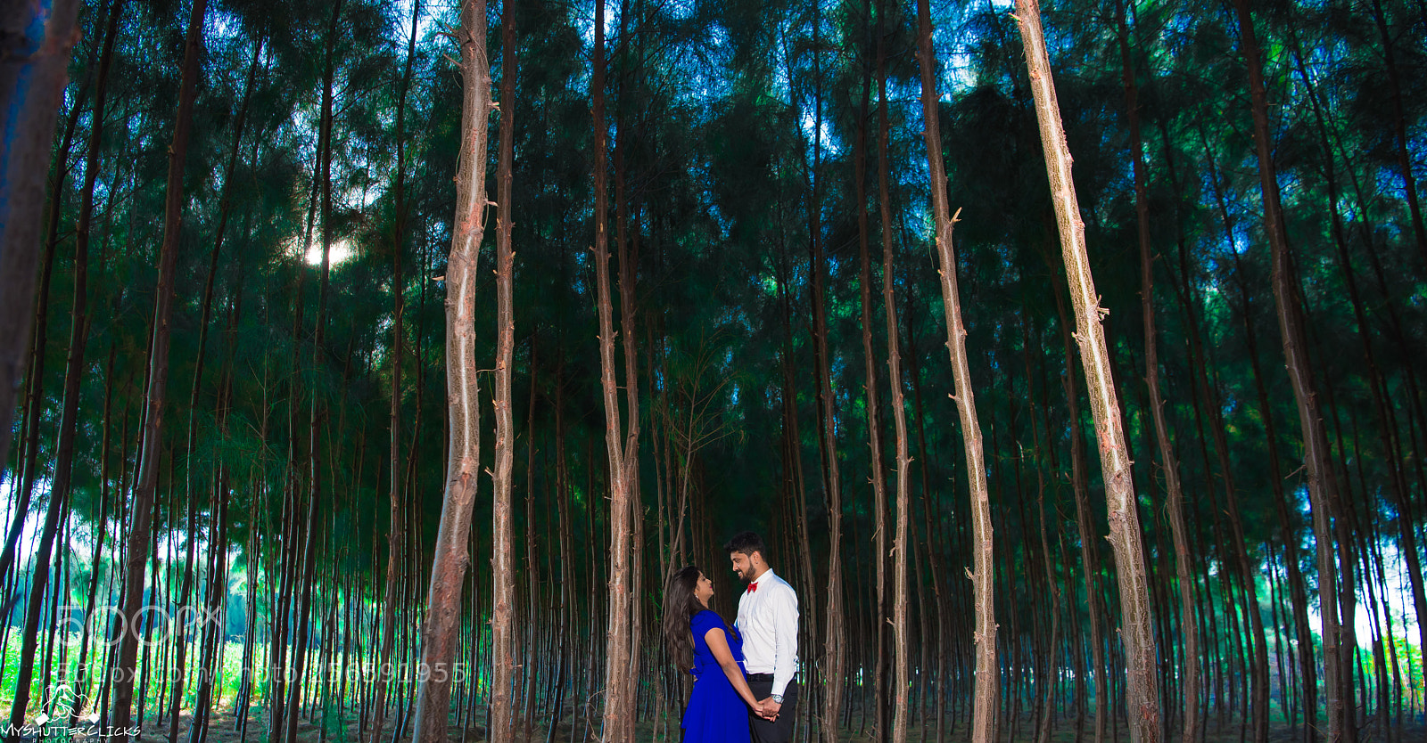 Nikon D750 sample photo. Outdoor photography