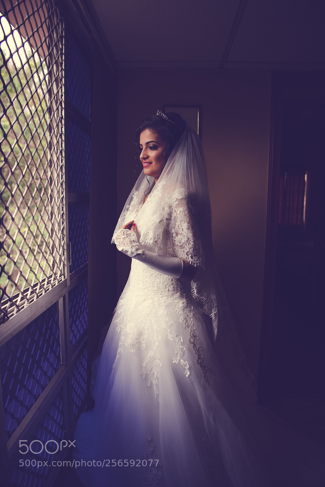 Nikon D750 sample photo. Weddingpic photography