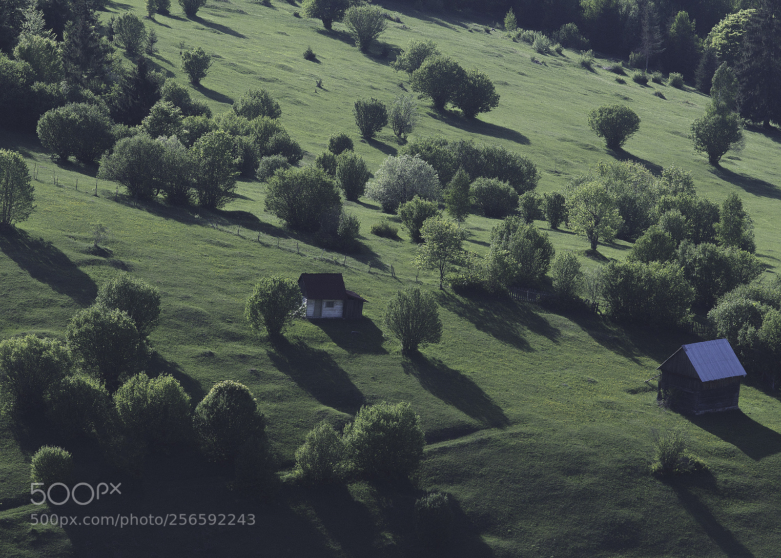 Canon EOS 700D (EOS Rebel T5i / EOS Kiss X7i) sample photo. Tranquility in transyilvania photography
