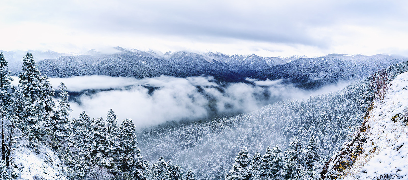 Sony a7R II sample photo. Nyingchi 318 national road photography
