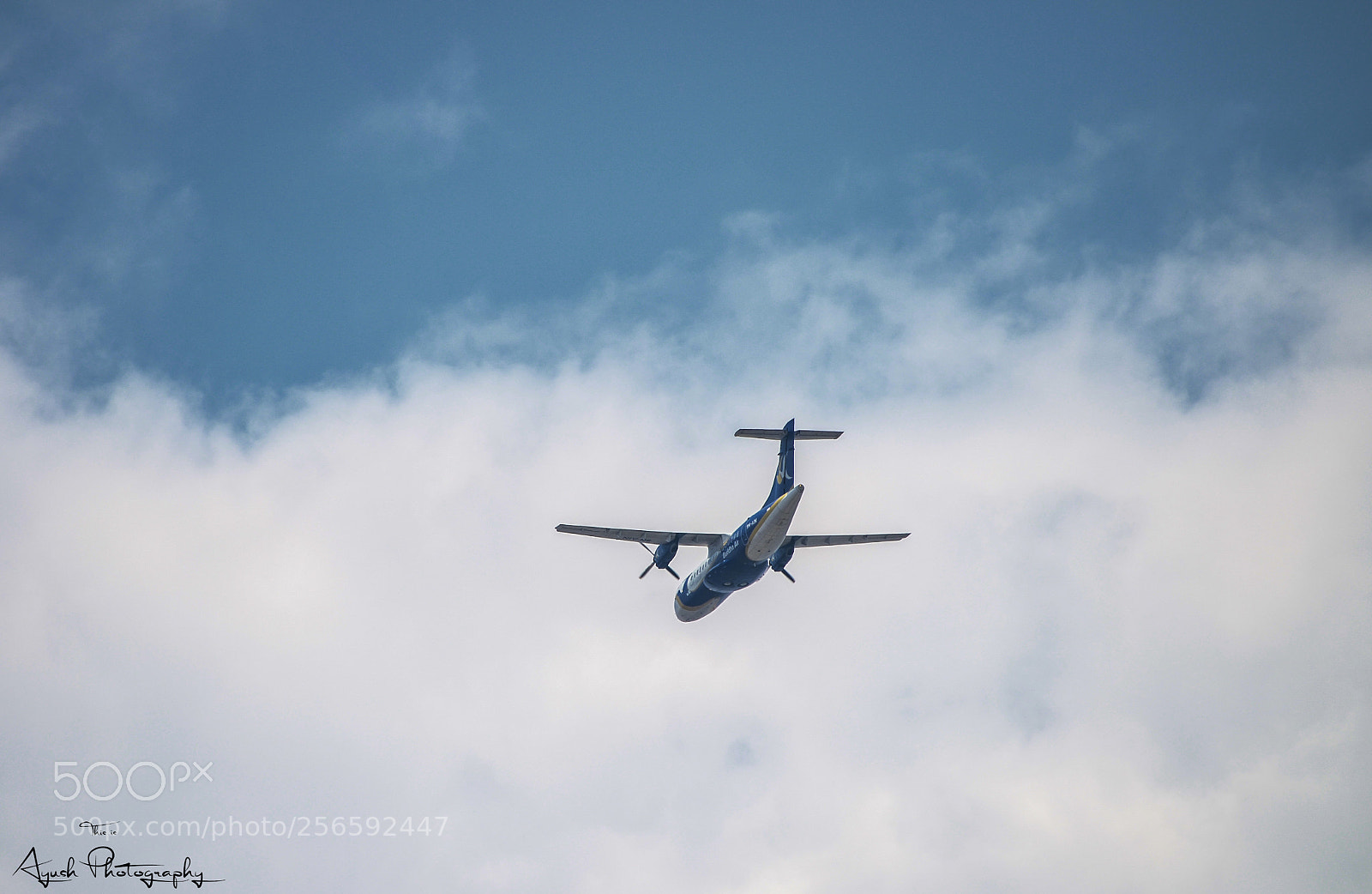 Nikon D5100 sample photo. Flight ! photography
