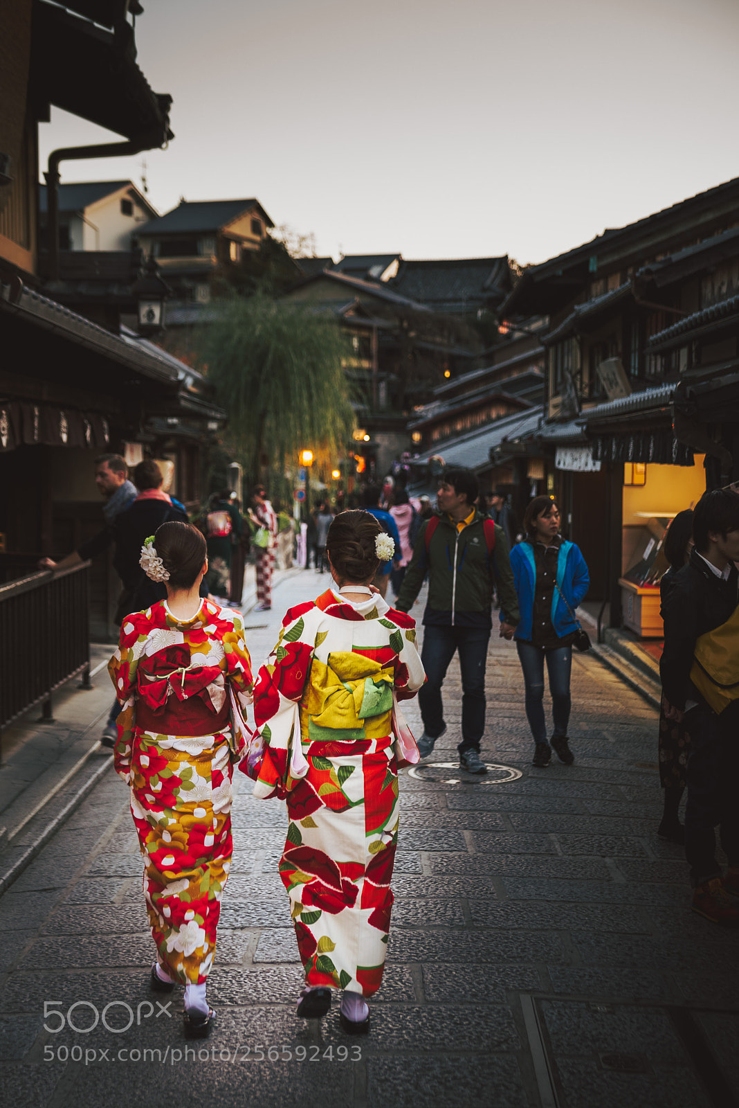 Nikon D610 sample photo. Kimonos photography