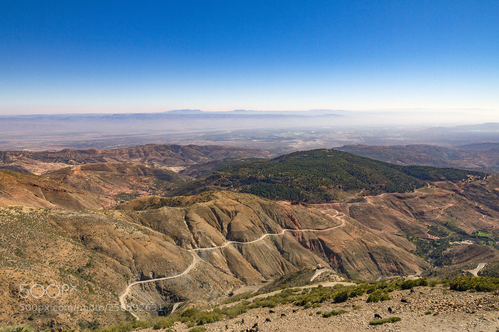 Canon EOS 7D sample photo. 2018-3866.jpg photography