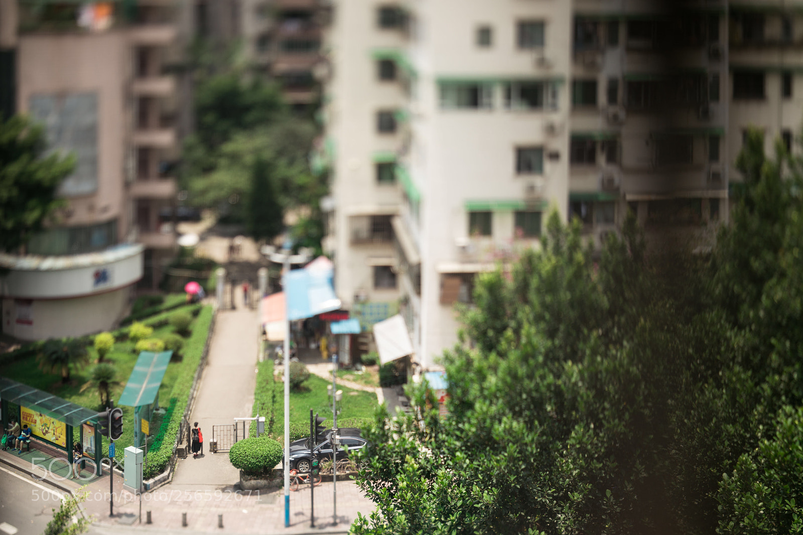 Canon EOS 5D Mark IV sample photo. Untitled photography