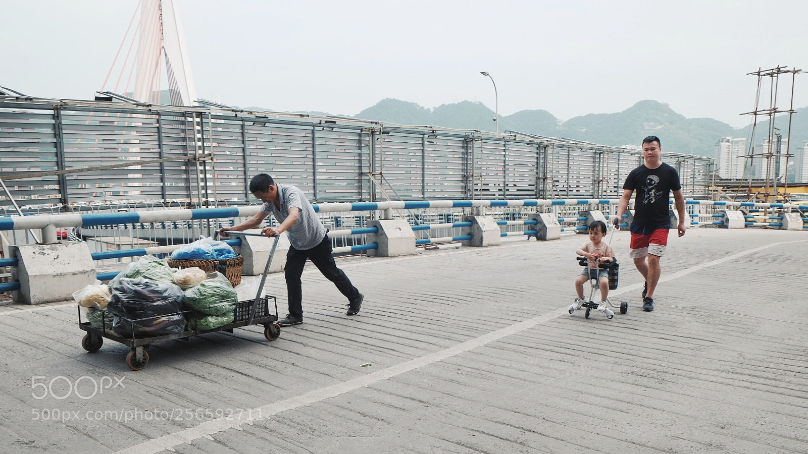 Fujifilm X-E2 sample photo. 推车与推车 photography