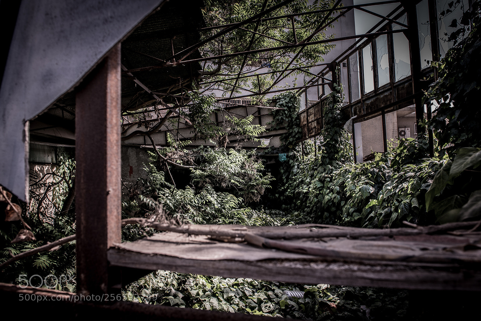 Nikon D750 sample photo. The house photography