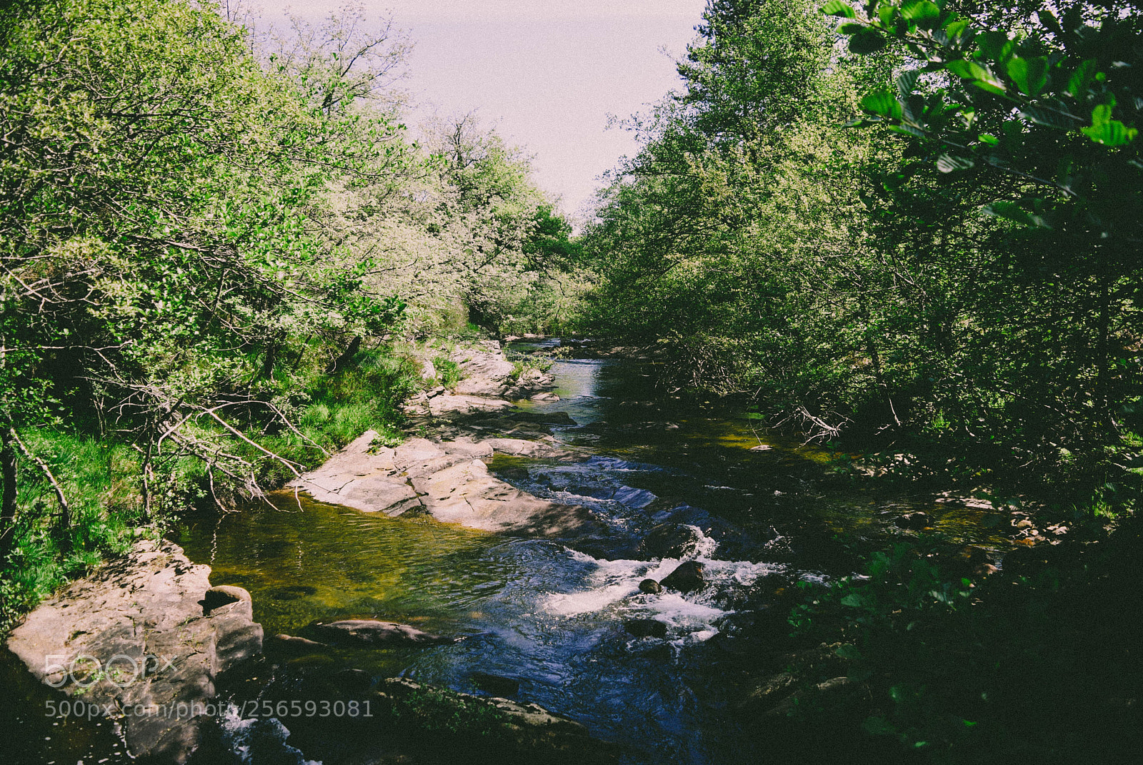 Nikon D5300 sample photo. Dsc () photography