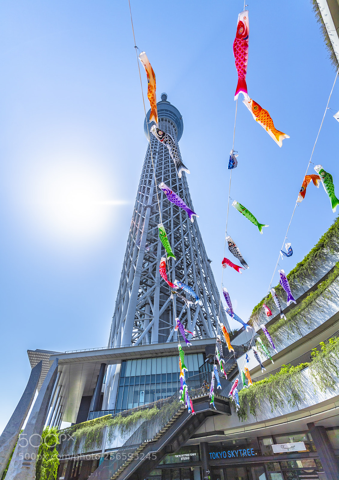 Nikon D5 sample photo. Tower and flying carp photography