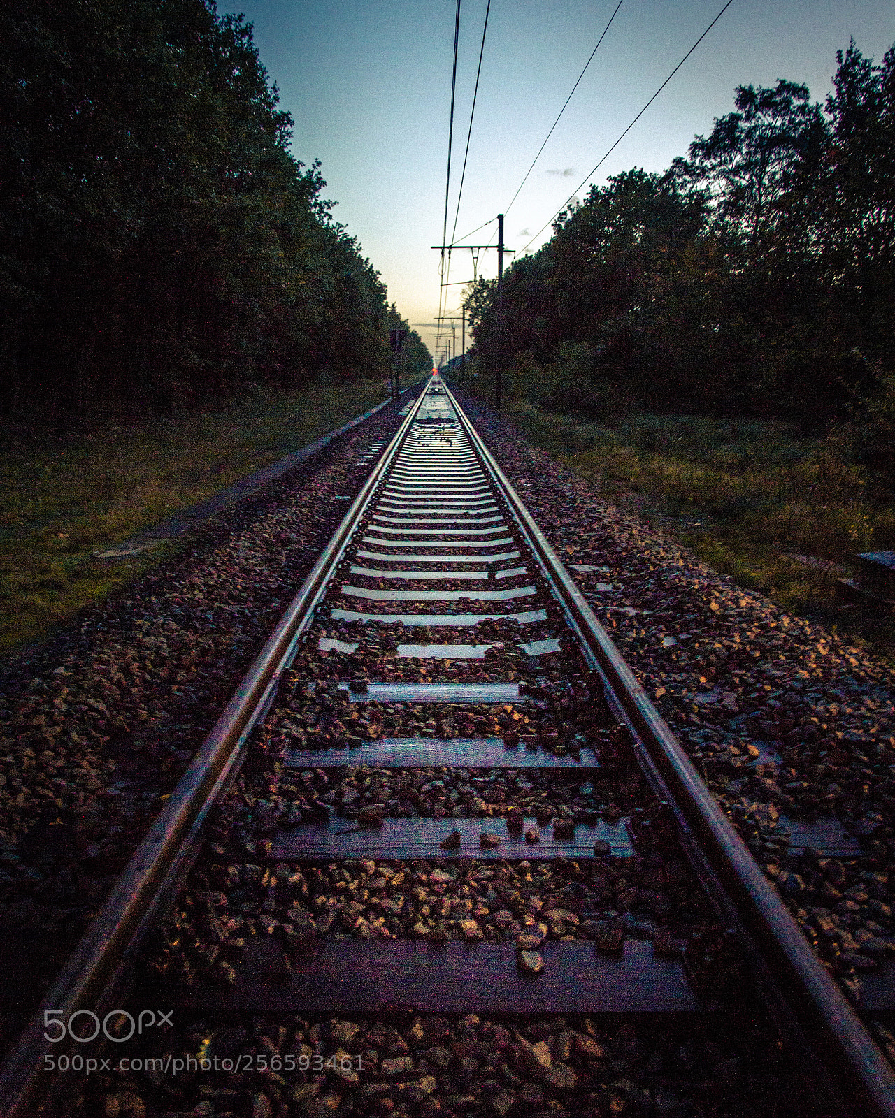Canon EOS 550D (EOS Rebel T2i / EOS Kiss X4) sample photo. Moody railway photography