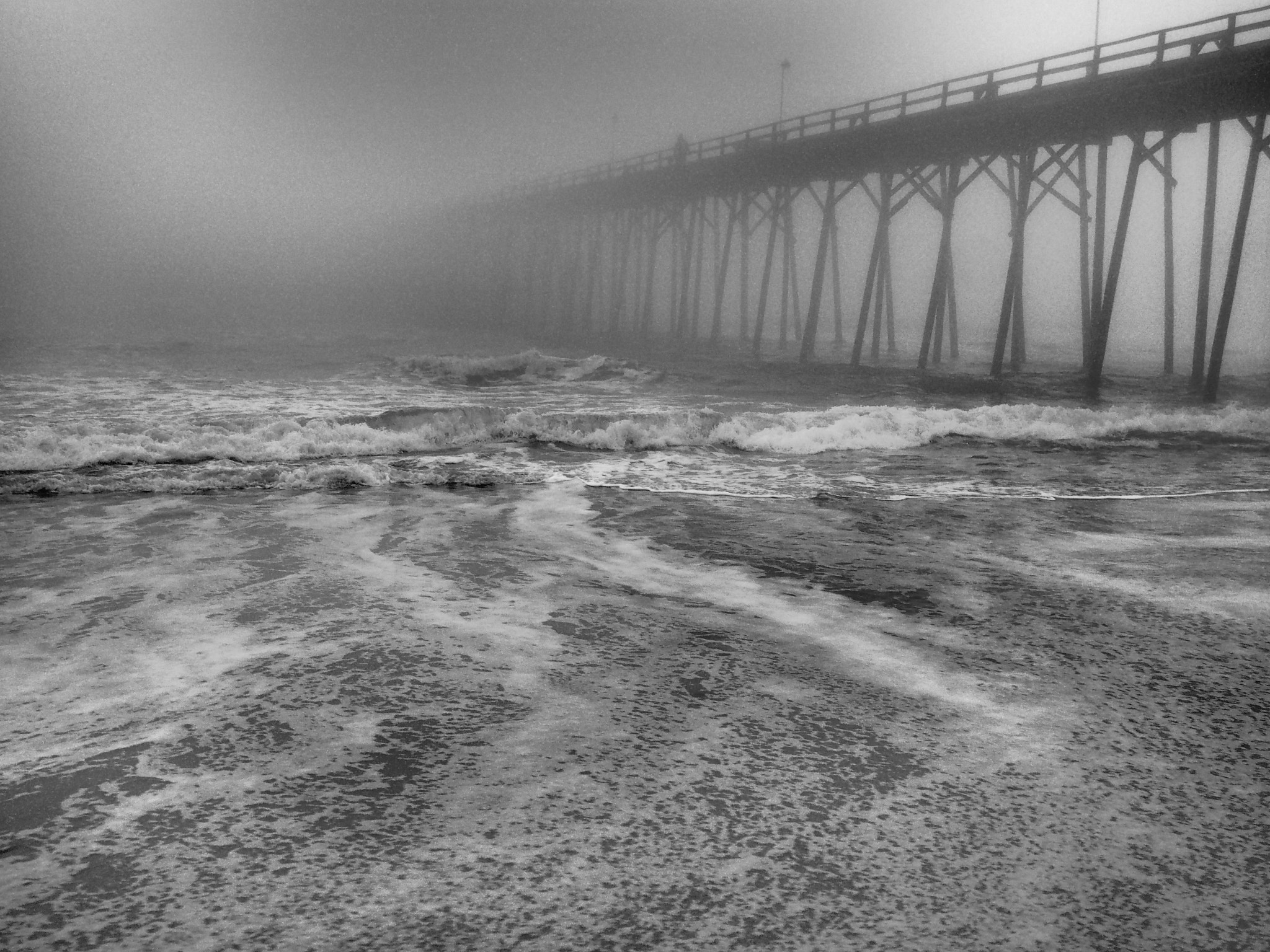 Olympus PEN E-PL6 sample photo. One foggy morning photography