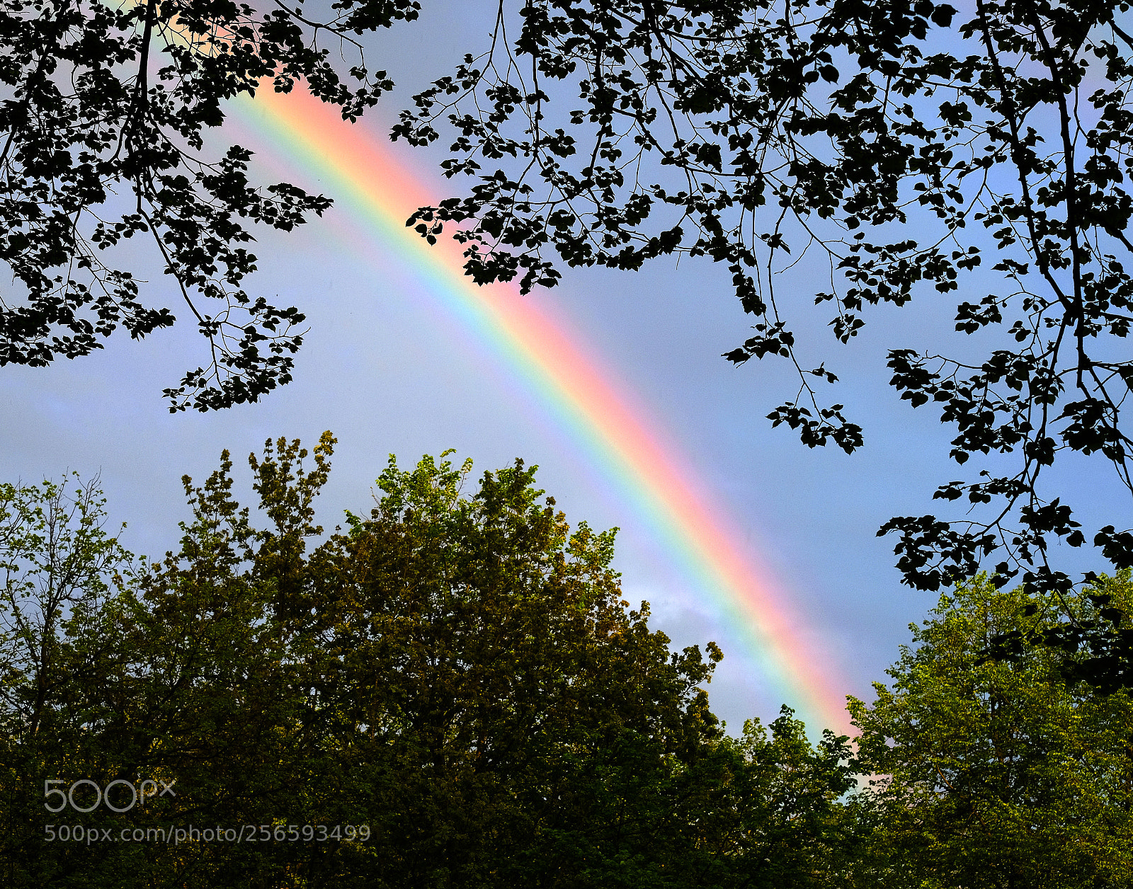 Fujifilm X-T20 sample photo. Bright rainbow in the photography