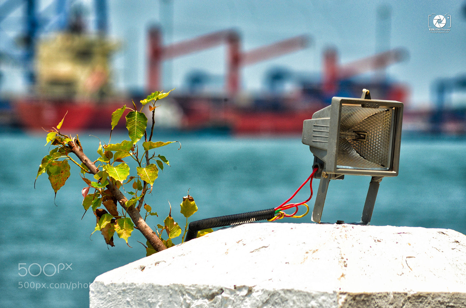 Nikon D5100 sample photo. Natural vs artificial photography