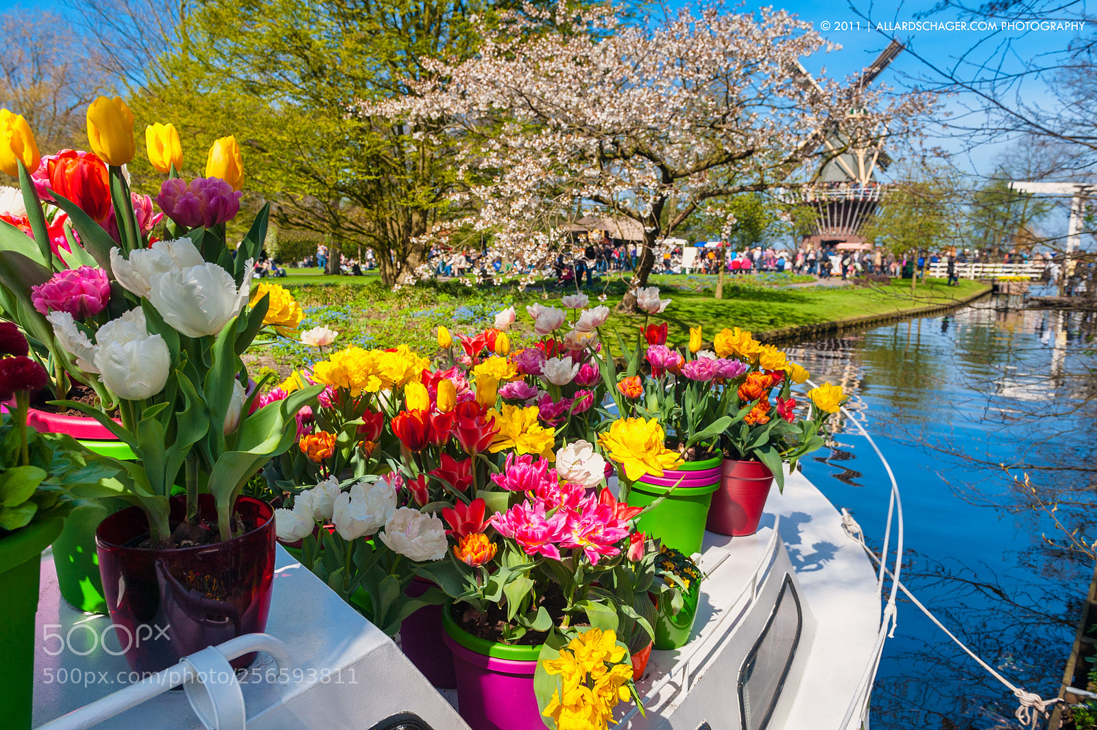 Nikon D700 sample photo. Color booster photography