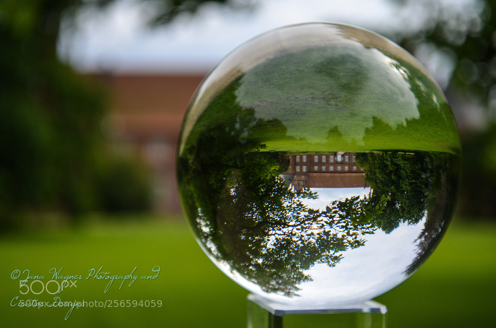Nikon D5100 sample photo. Photoclassball photography