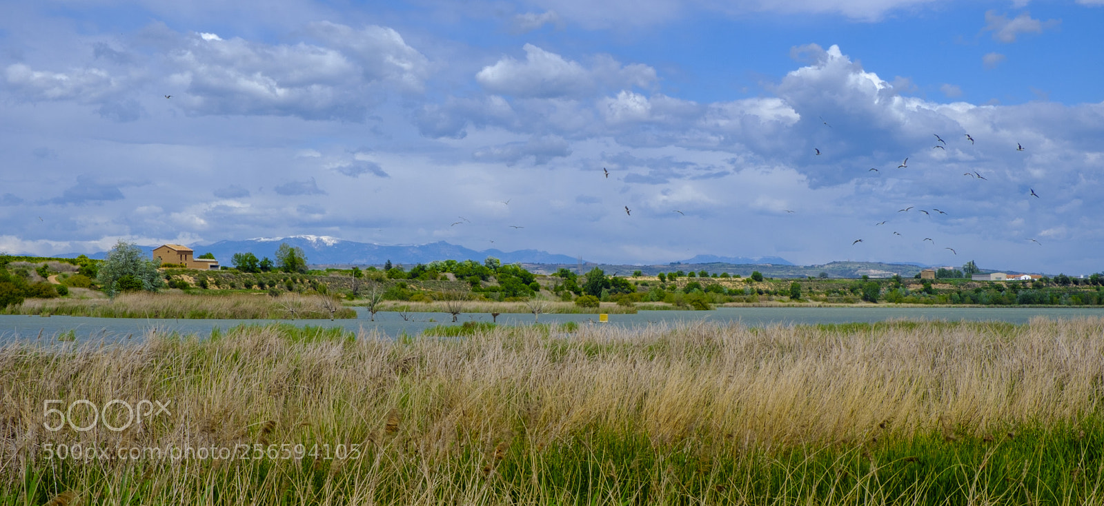 Fujifilm X-T20 sample photo. Estany ivars vila-sana01 photography