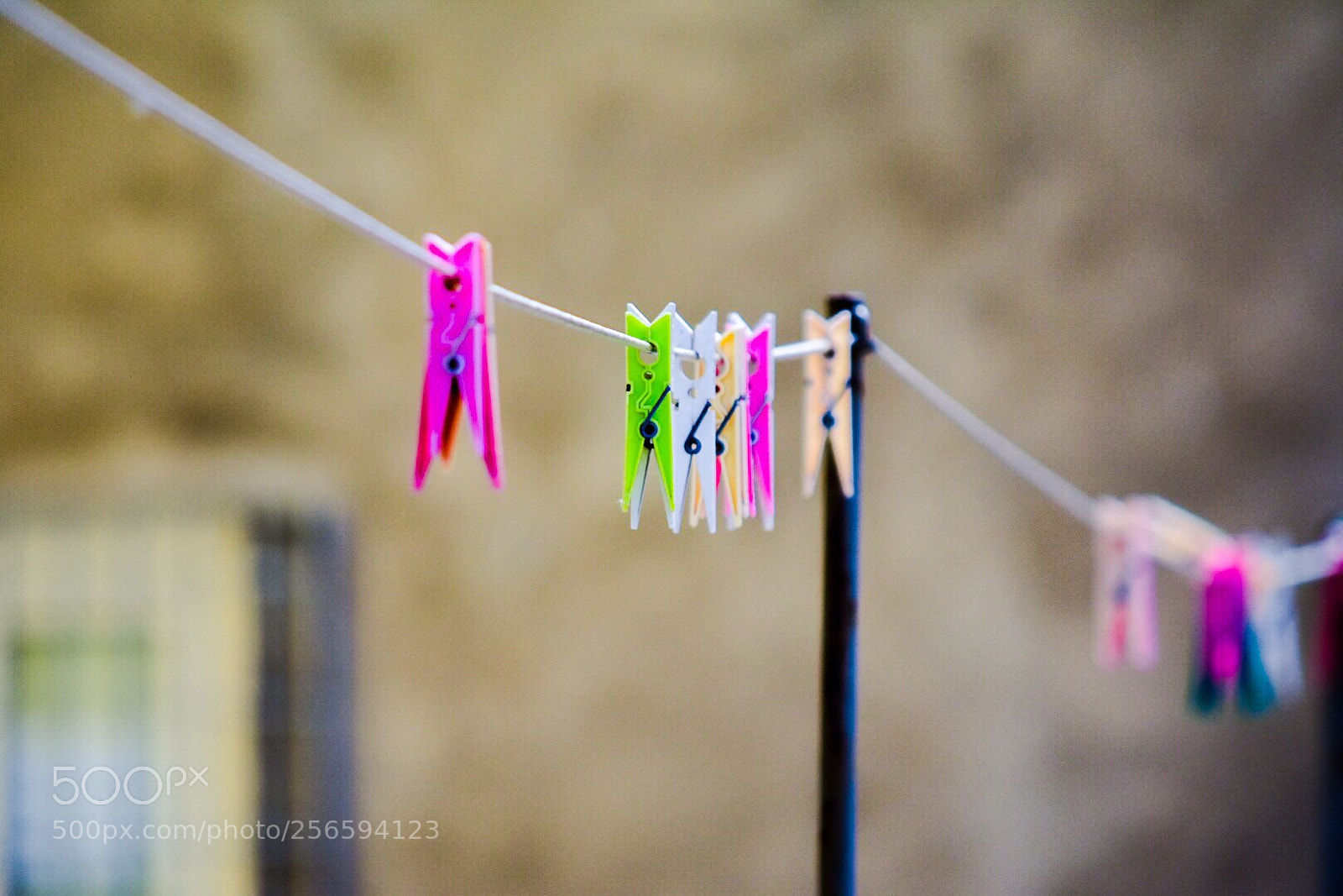 Nikon D7200 sample photo. Spring photography