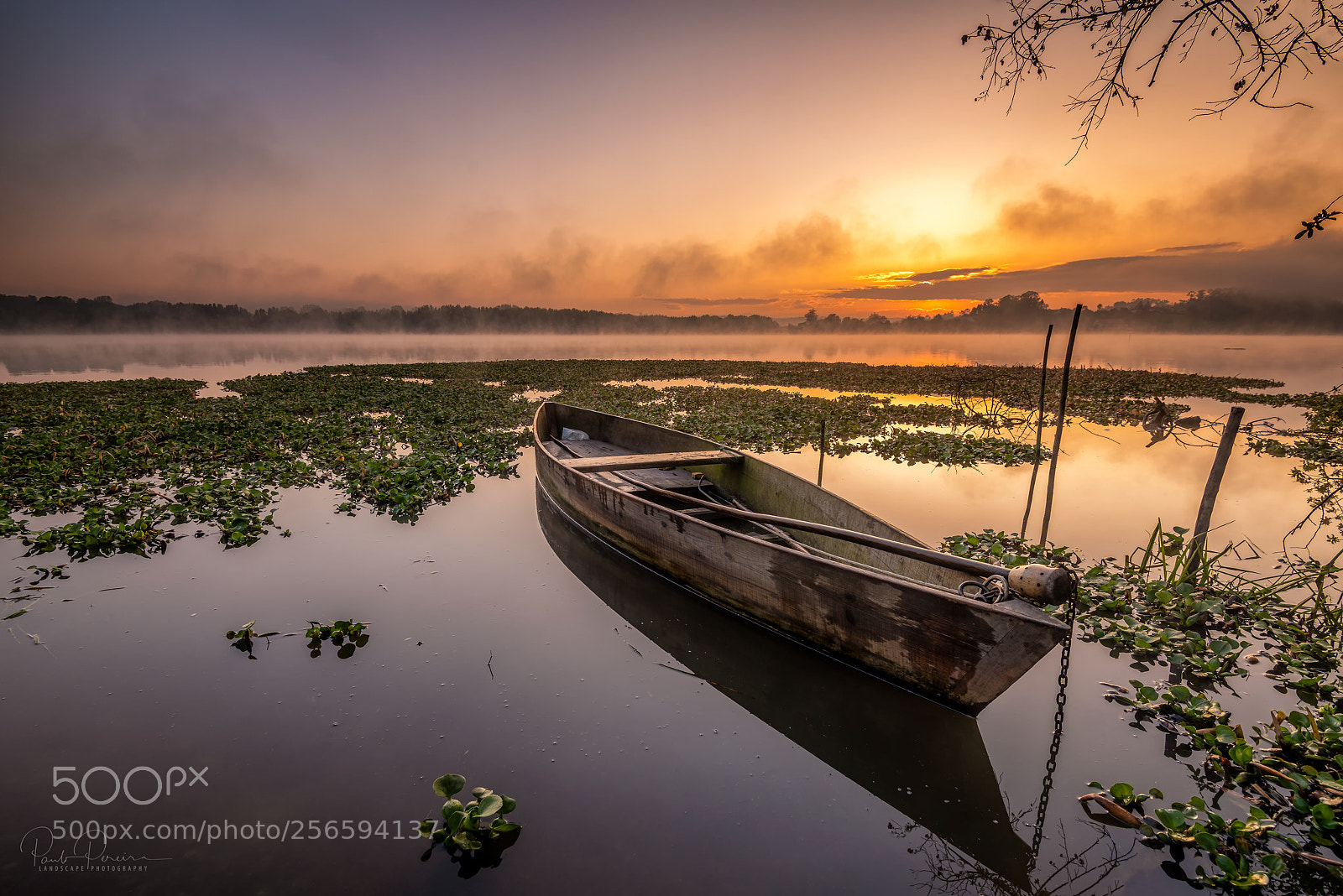 Nikon D810 sample photo. Golden lagoon photography
