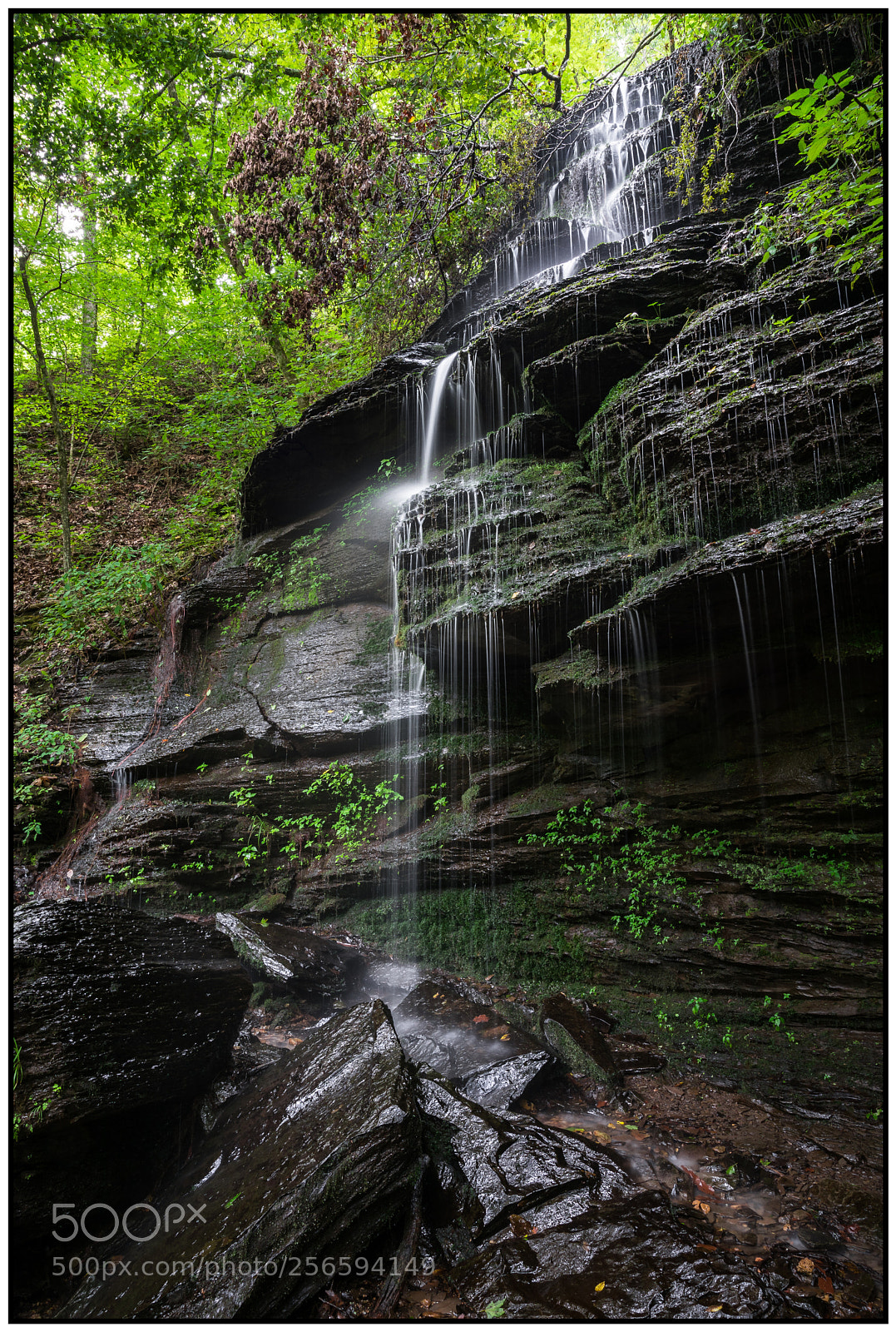 Nikon D750 sample photo. Untitled photography