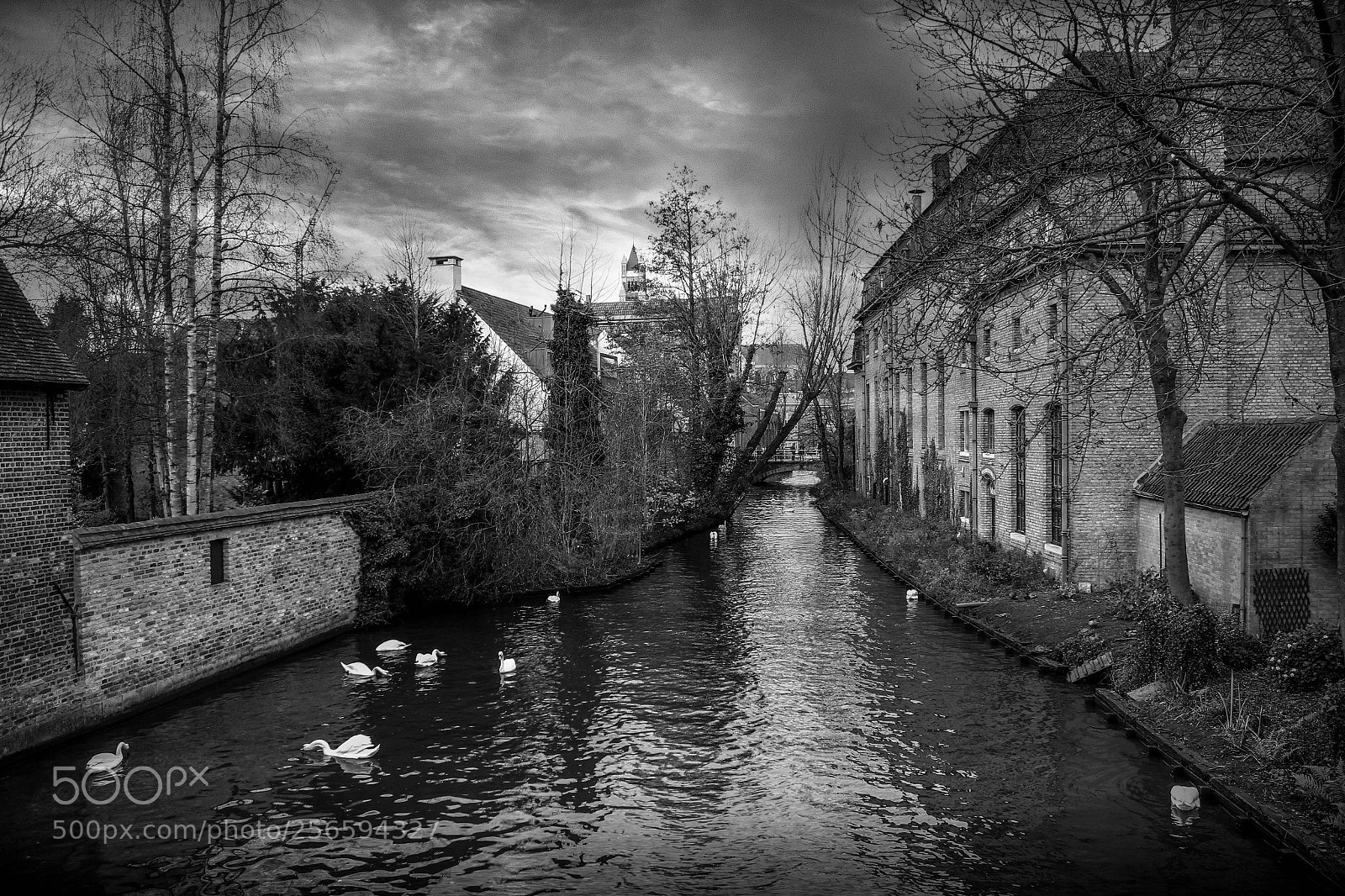 Canon EOS 550D (EOS Rebel T2i / EOS Kiss X4) sample photo. Bruges city b&w photography