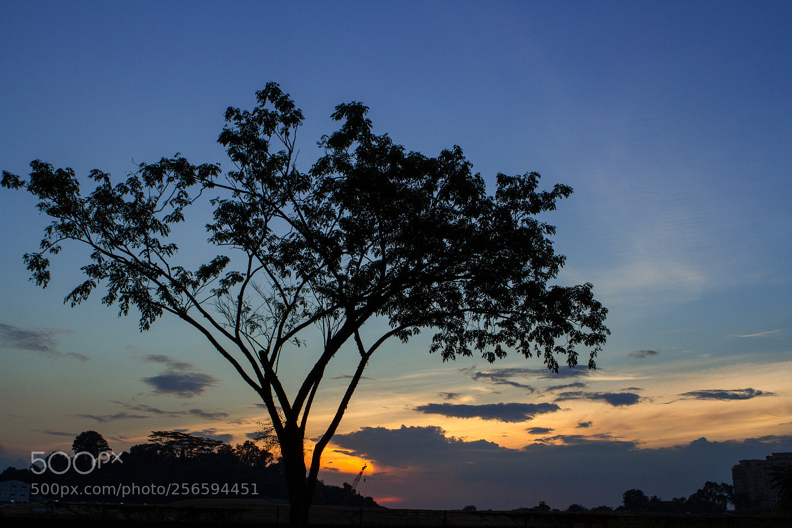 Canon EOS 7D sample photo. Silhouette sunset photography