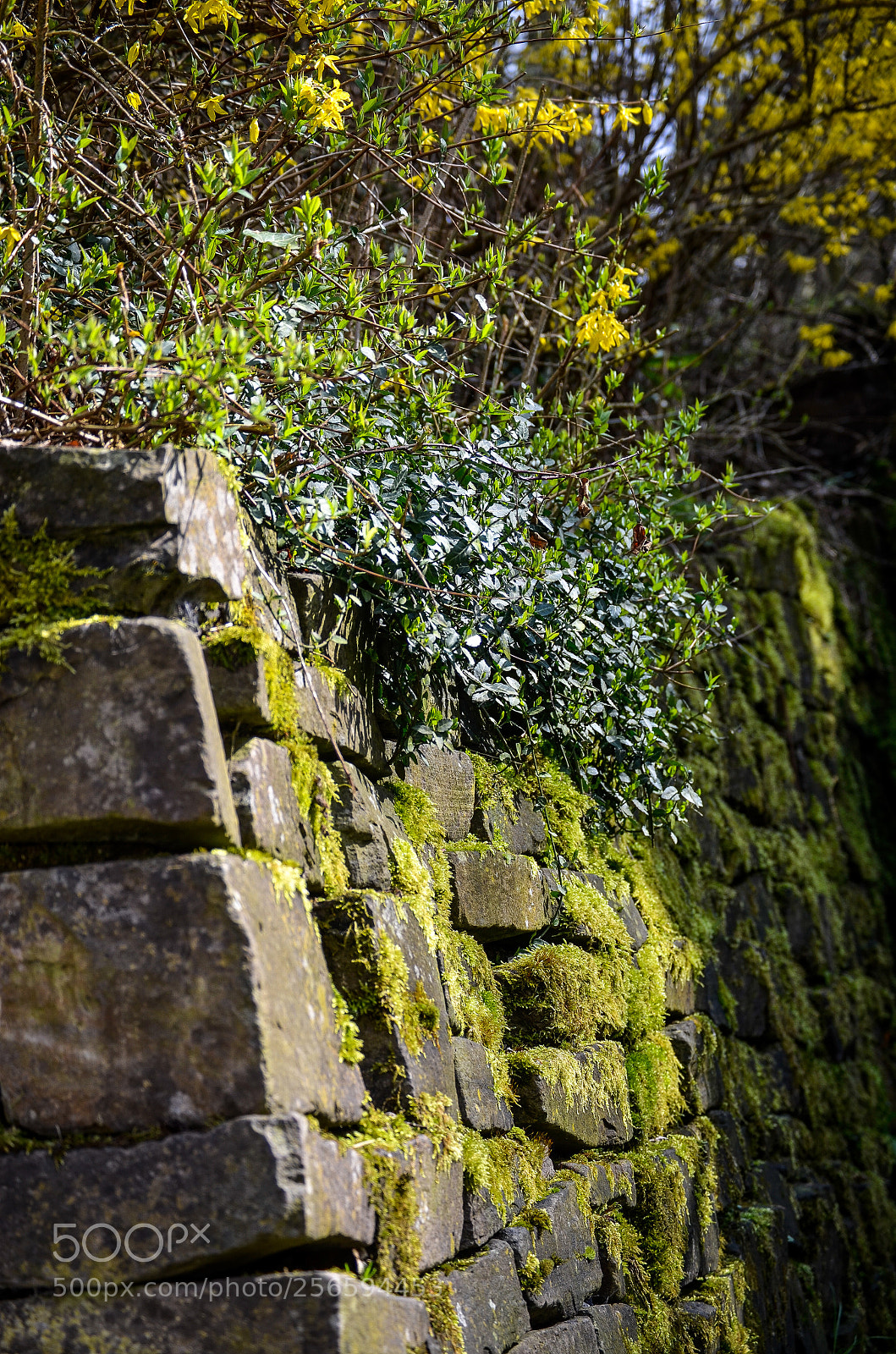 Nikon D5100 sample photo. Stone wall. photography