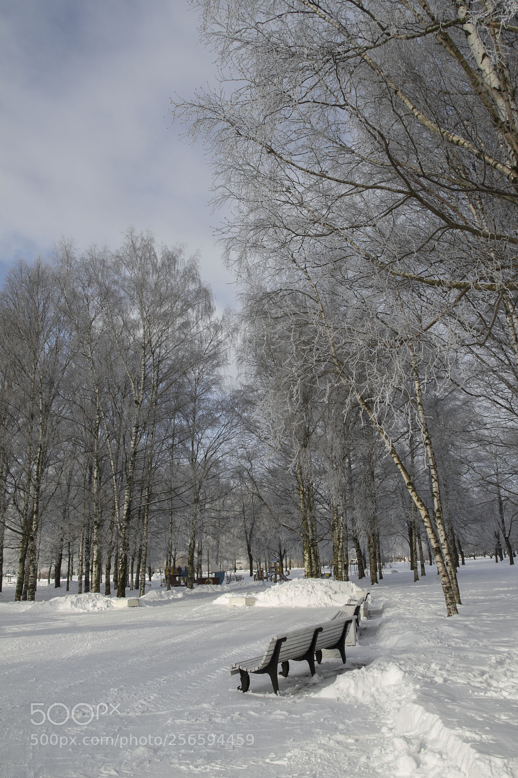 Canon EOS 7D sample photo. Lonely winter photography