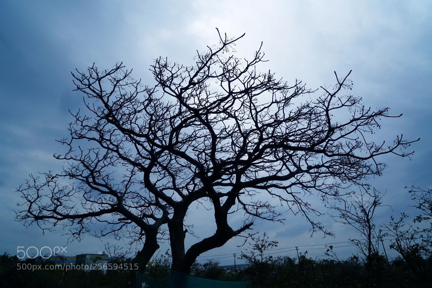 Sony a7R II sample photo. Dsc photography