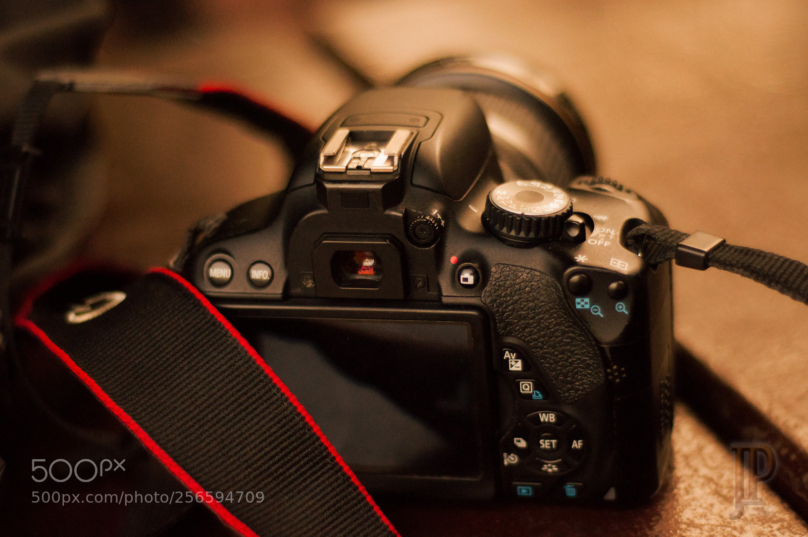 Nikon D90 sample photo. I love canon! photography