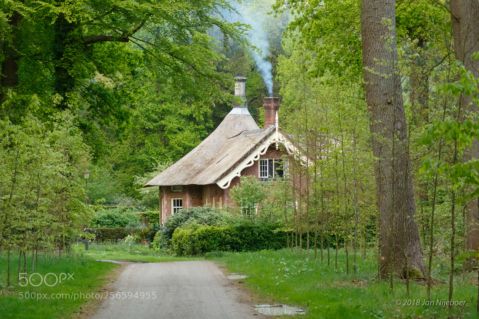 Canon EOS 7D Mark II sample photo. Living in the forest... photography