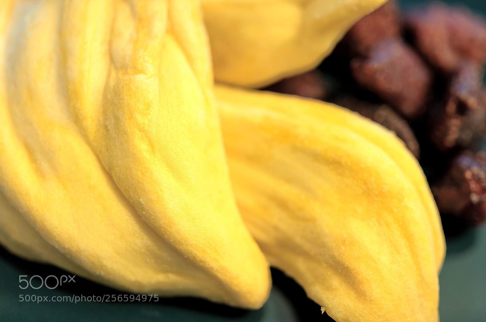 Pentax K20D sample photo. Dried jackfruit.菠萝蜜干 photography