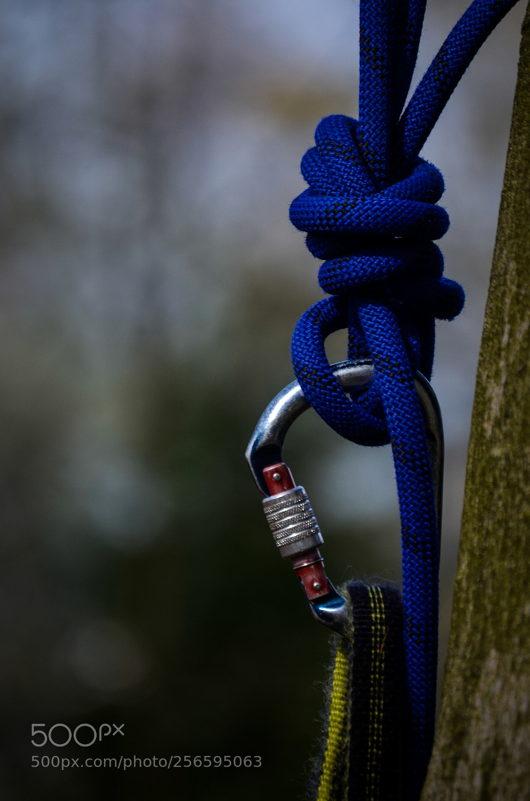 Nikon D5100 sample photo. Untitled photography